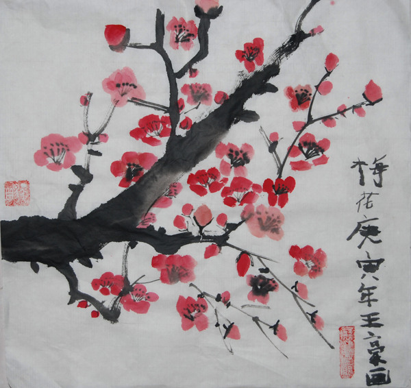 梅花圖片