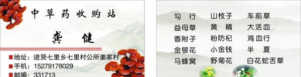 中草藥名片圖片