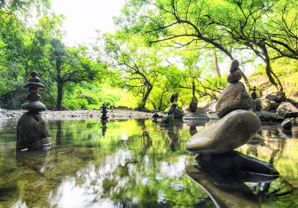 樹(shù)林里的水池景色圖片