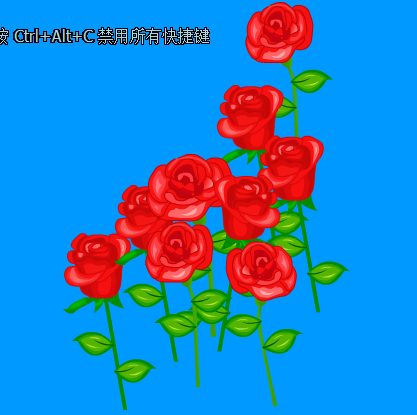 玫瑰花