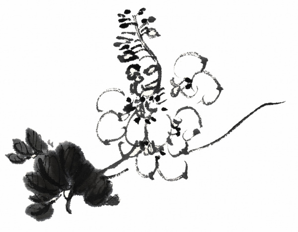 國(guó)畫花