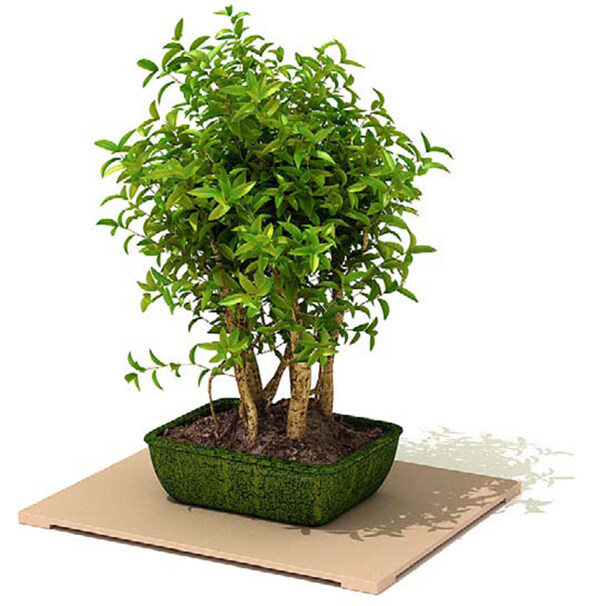 3d室內(nèi)裝飾綠色植物盆景盆栽模型