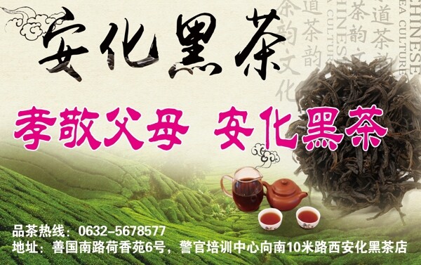 安化黑茶