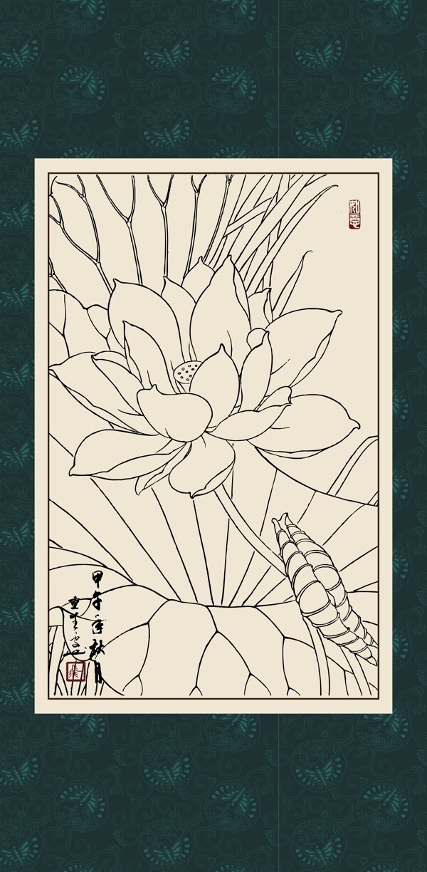 白描荷花圖片