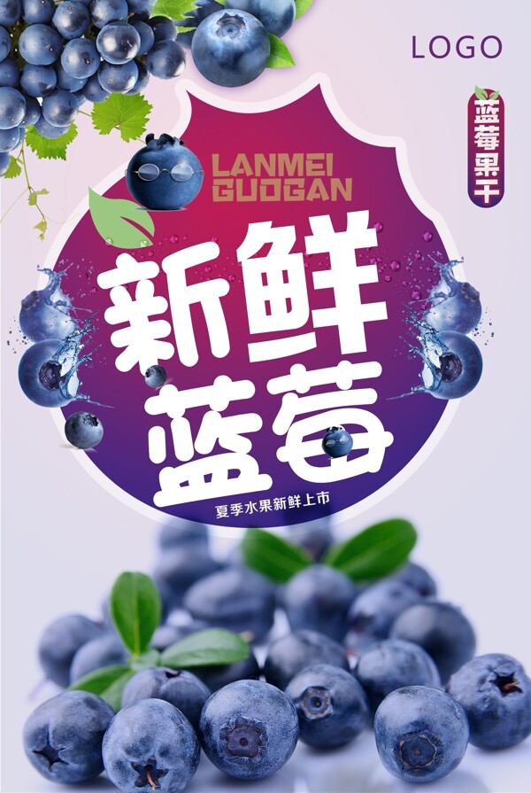 夏季新鲜蓝莓海报设计
