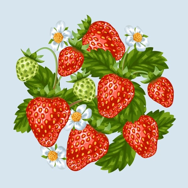时尚新鲜诱人的草莓插画