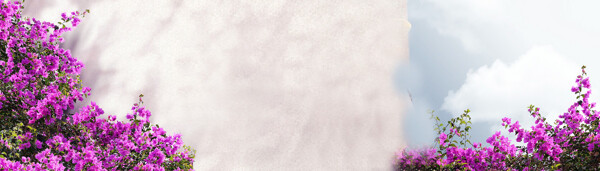 夢(mèng)幻紫色花朵淘寶全屏banner背景