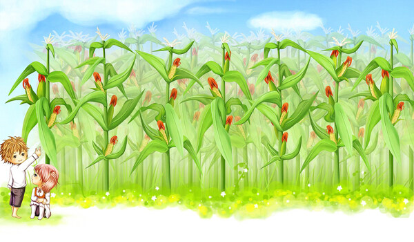 玉米地的漫画