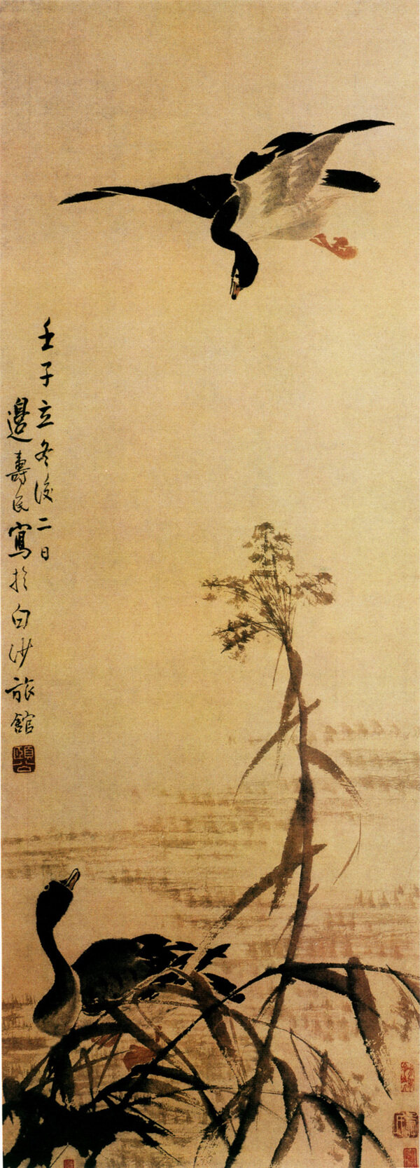書法畫素材圖片