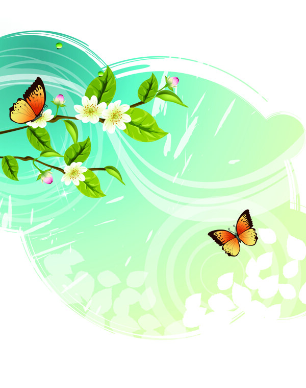 蝶与花三