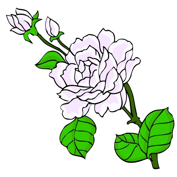 花卉古典插畫