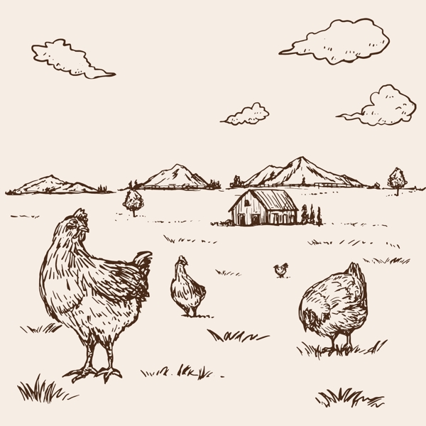 鸡卡通鸡鸡肉鸡蛋手绘鸡图片