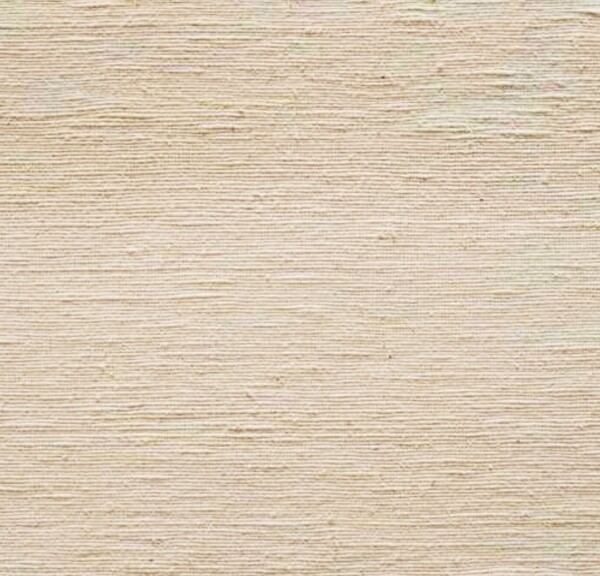 古典客廳模型