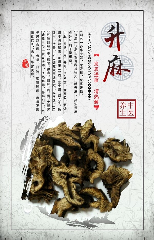 中藥升麻