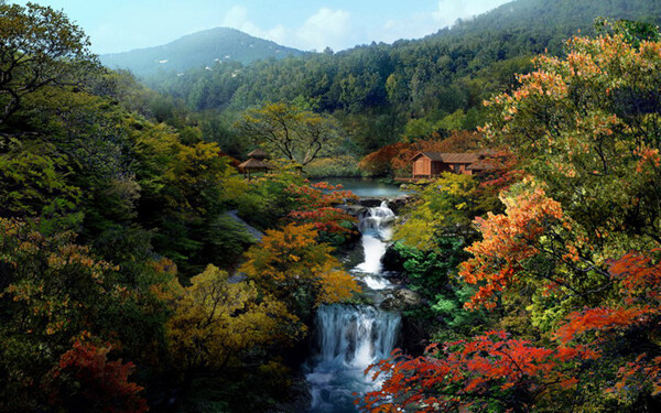 風(fēng)景