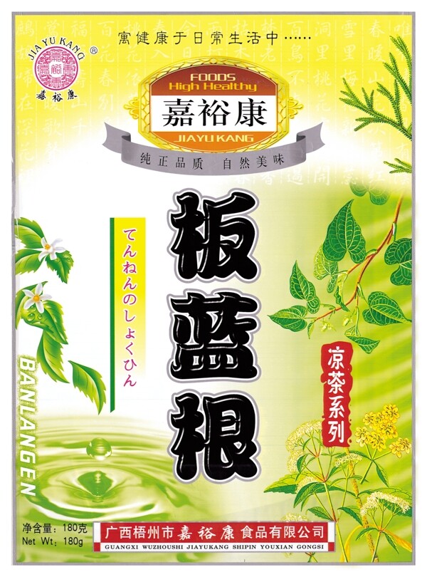 板藍(lán)根圖片