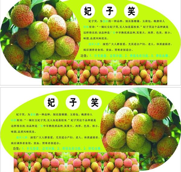 妃子笑圖片