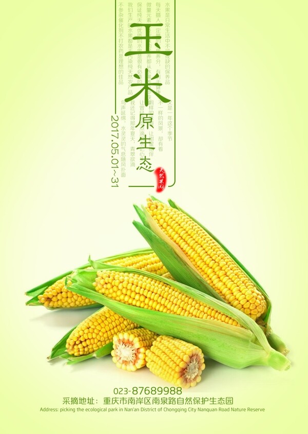 玉米新鮮玉米