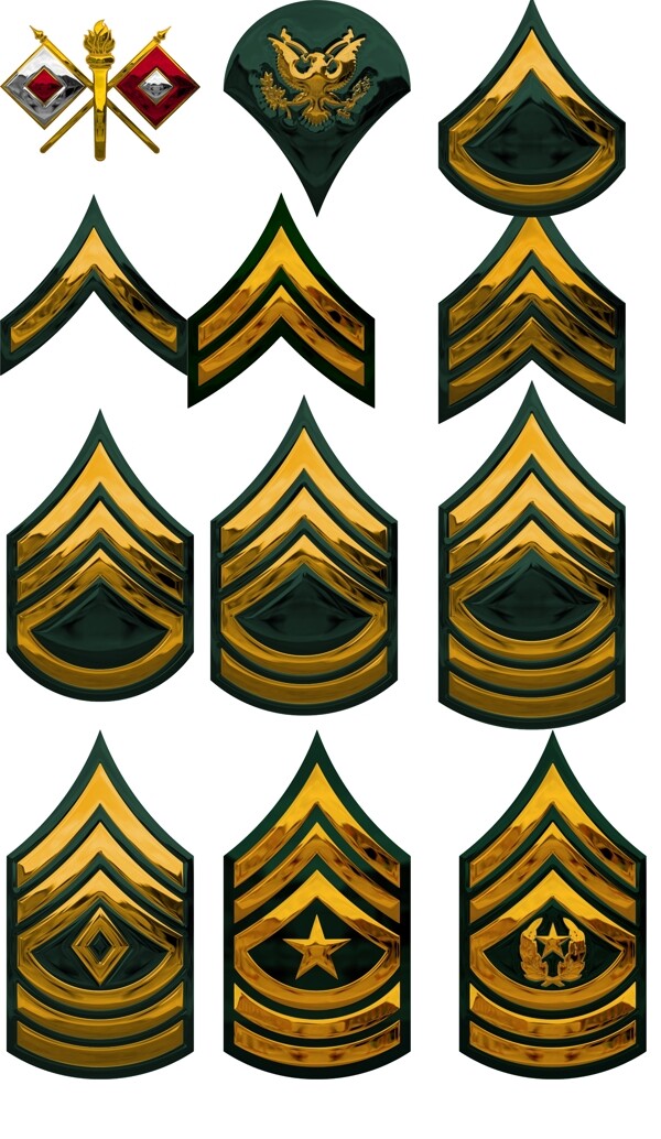 美国陆军军衔标识图片