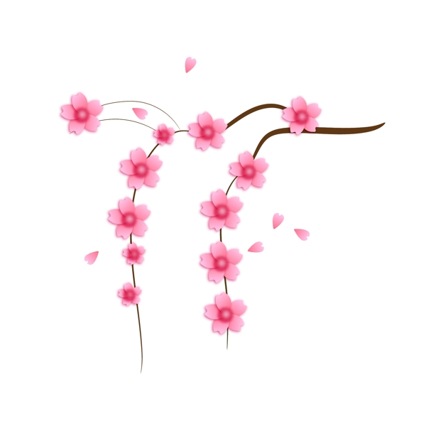 垂吊的粉色樱花插画