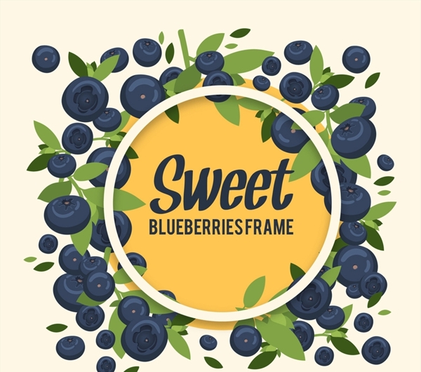 甜蜜蓝莓框架图片