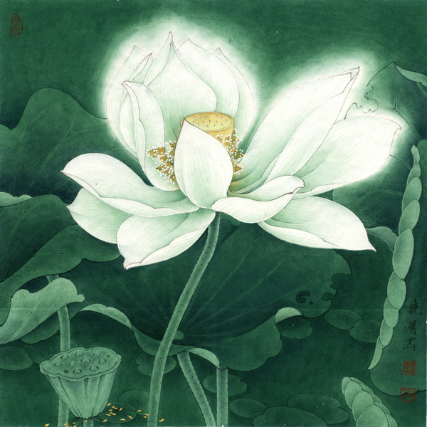 冷艷清華圖片