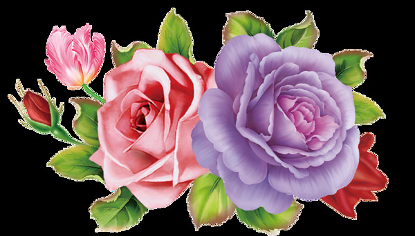 玫瑰花