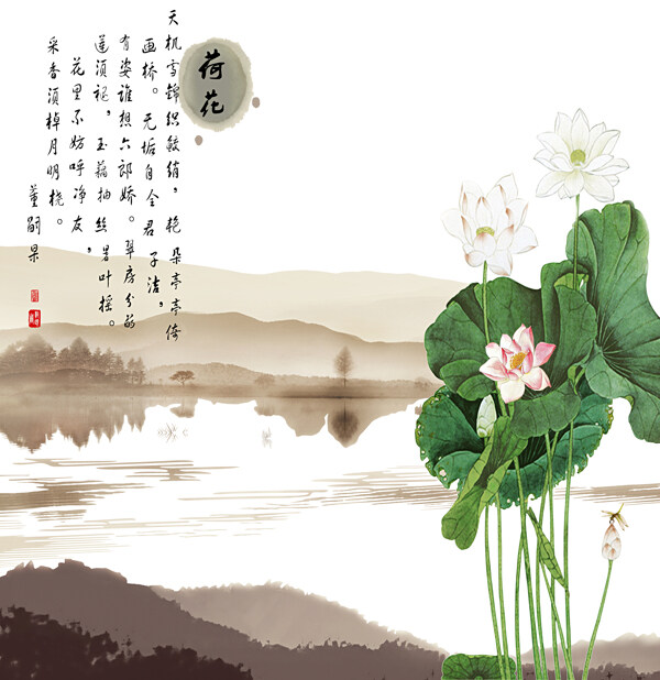 荷花