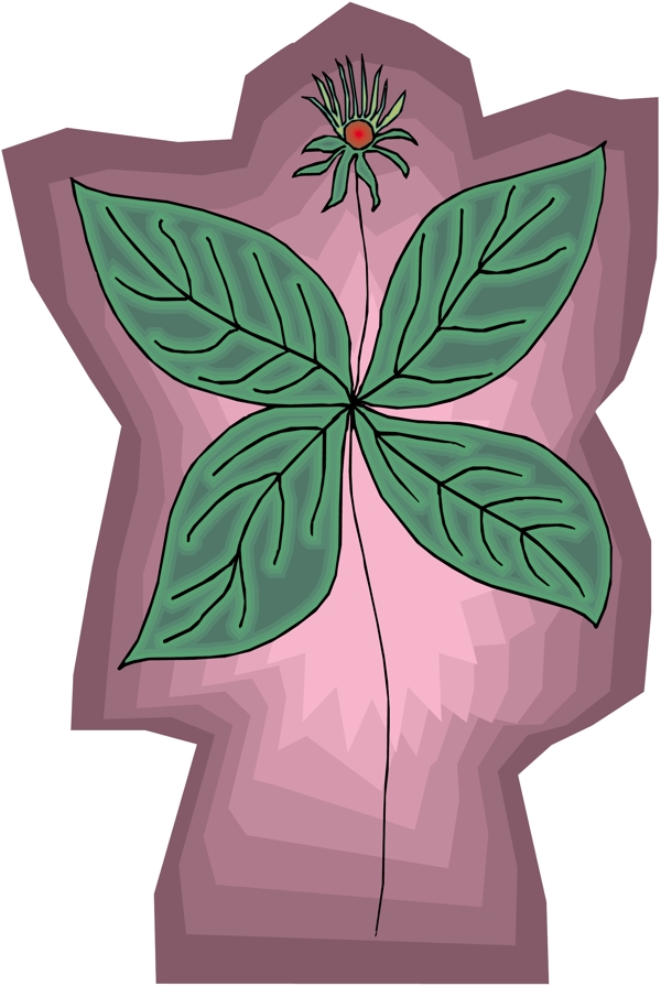花朵花草鮮花矢量EPS格式0719