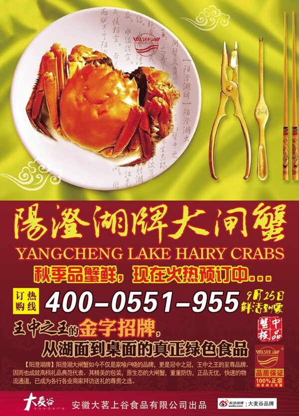 陽澄湖大閘蟹宣傳海報(bào)
