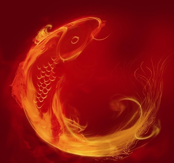 魚底圖片