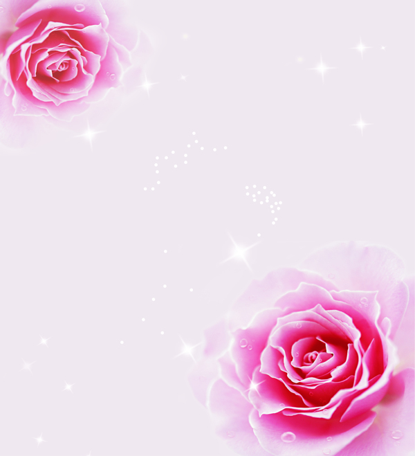 玫瑰花語