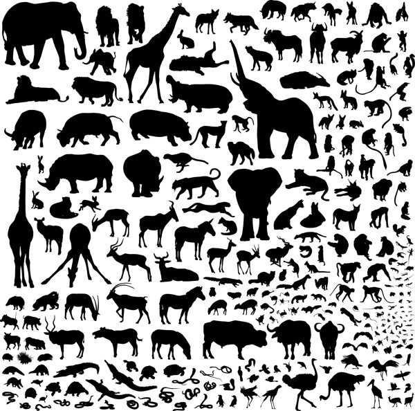 動物剪影