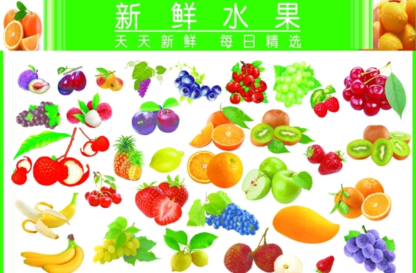 水果大全新鮮水果圖片