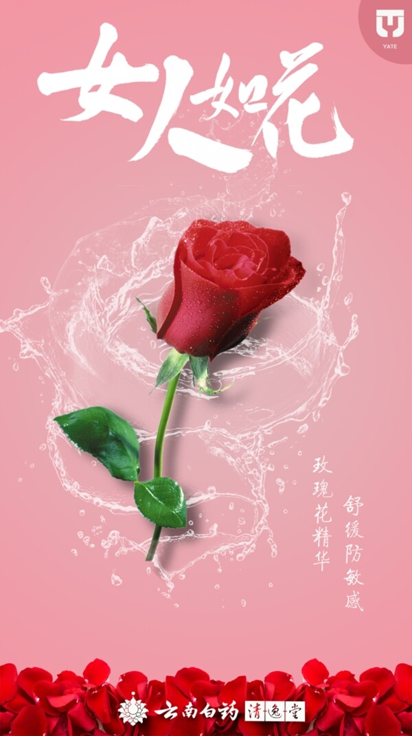 玫瑰海報
