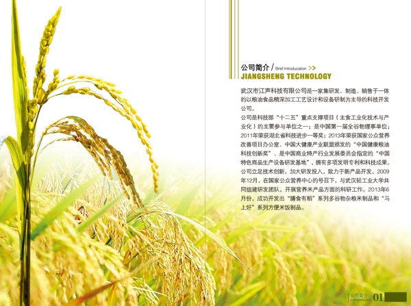 公司簡介宣傳