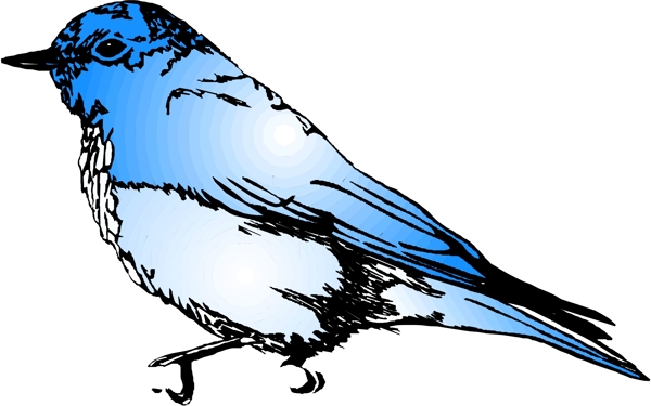 矢量逼真鳥類動物40