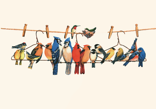 鳥(niǎo)工筆畫(huà)