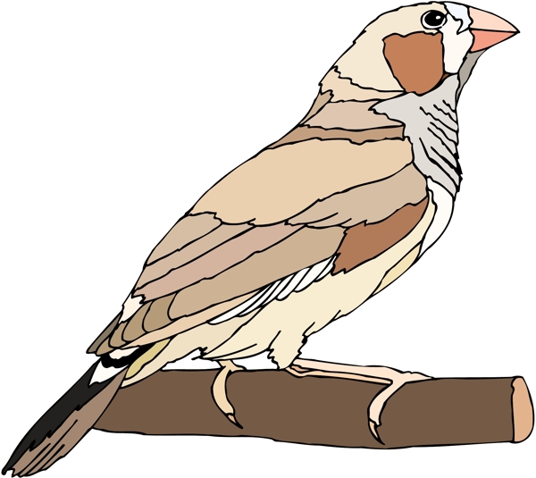 各種鳥類鳥動物矢量素材EPS格式0862