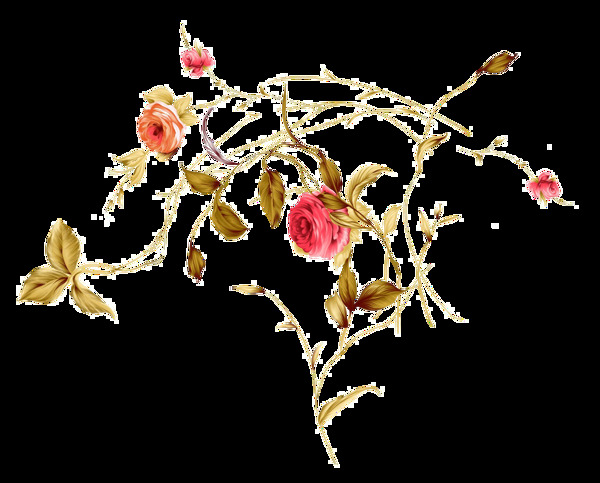 春天薔薇玫瑰