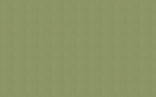 紙的背景235