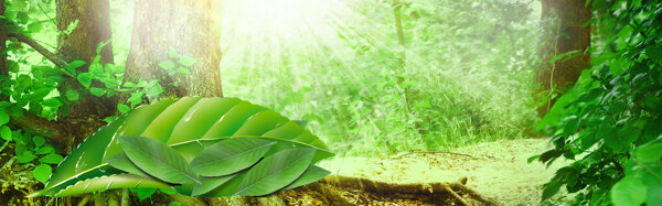 淘寶廣告banner