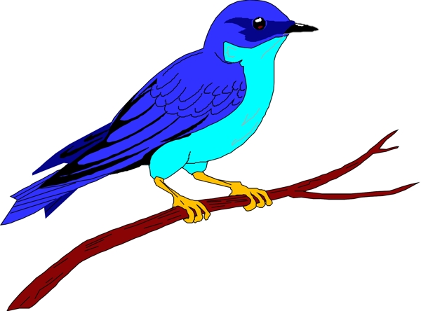 矢量逼真鳥類動物1