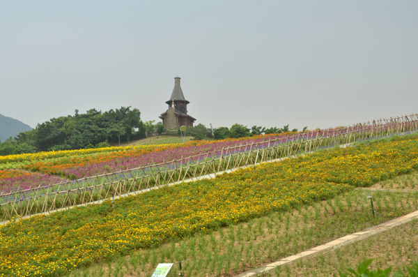 花田圖片