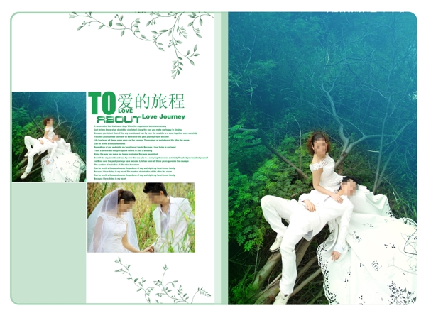 雙面樹干婚紗模板