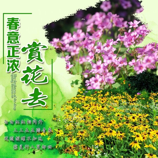 春意正濃