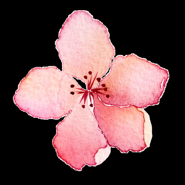 粉色花蕊透明装饰素材