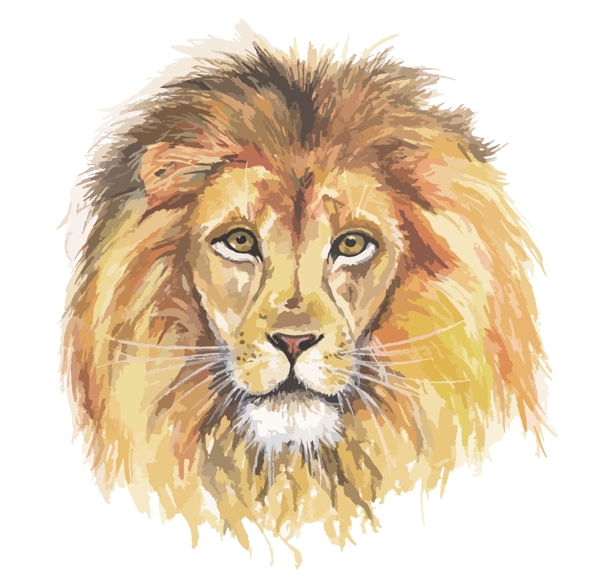 手绘水彩画狮子头矢量图下载