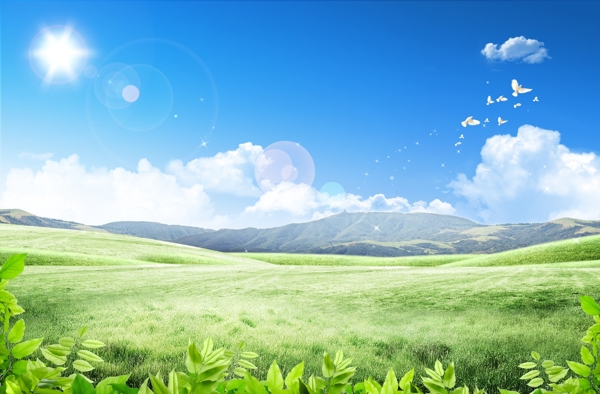 藍(lán)天白云綠葉草原背景