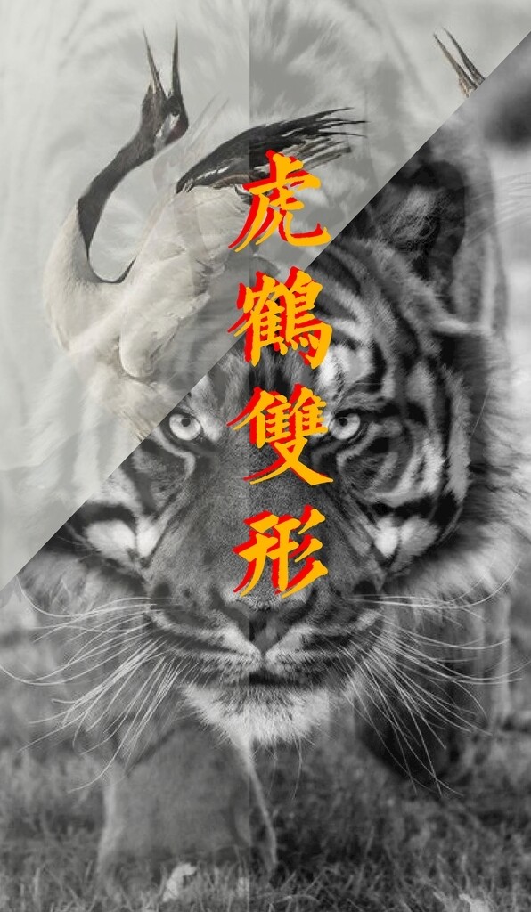 中國風海報